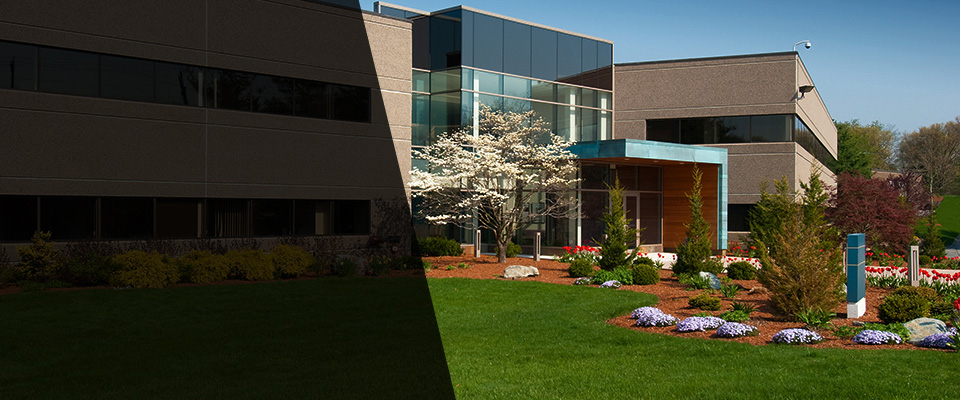 Del Rio Landscapers