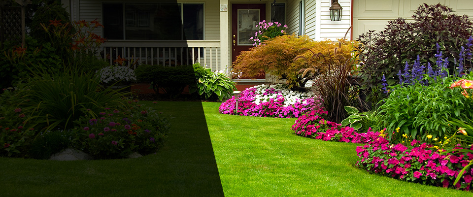 Del Rio Landscapers