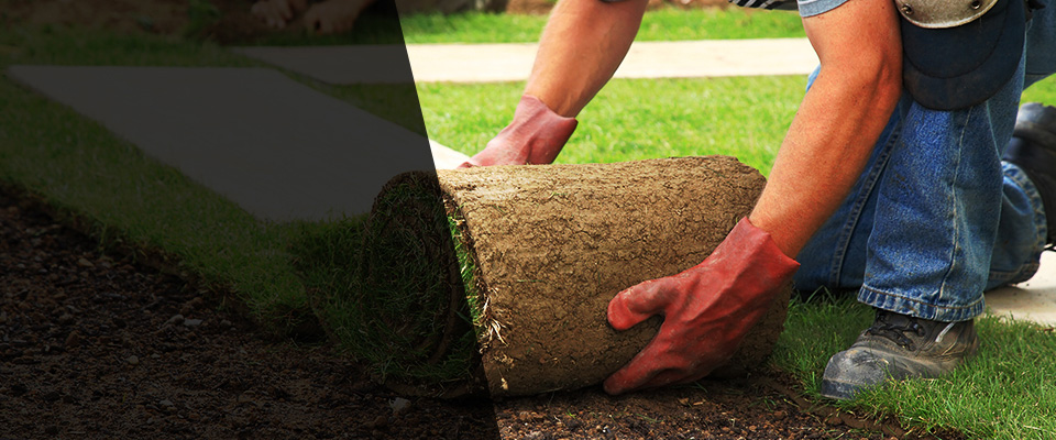 Del Rio Landscapers